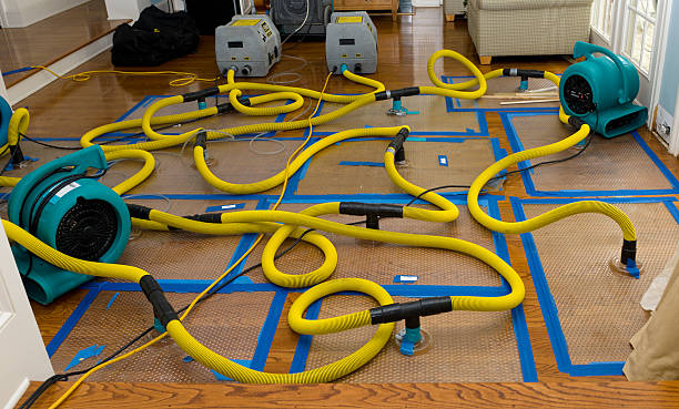 Professional Water Damage Restoration technician working in Tooele, UT